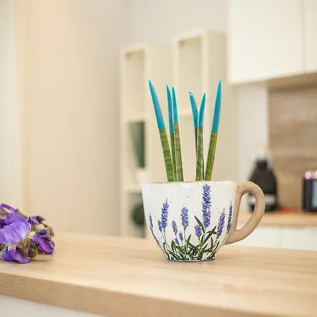 2-bedroom With Private Pool In Kalithies Vila *